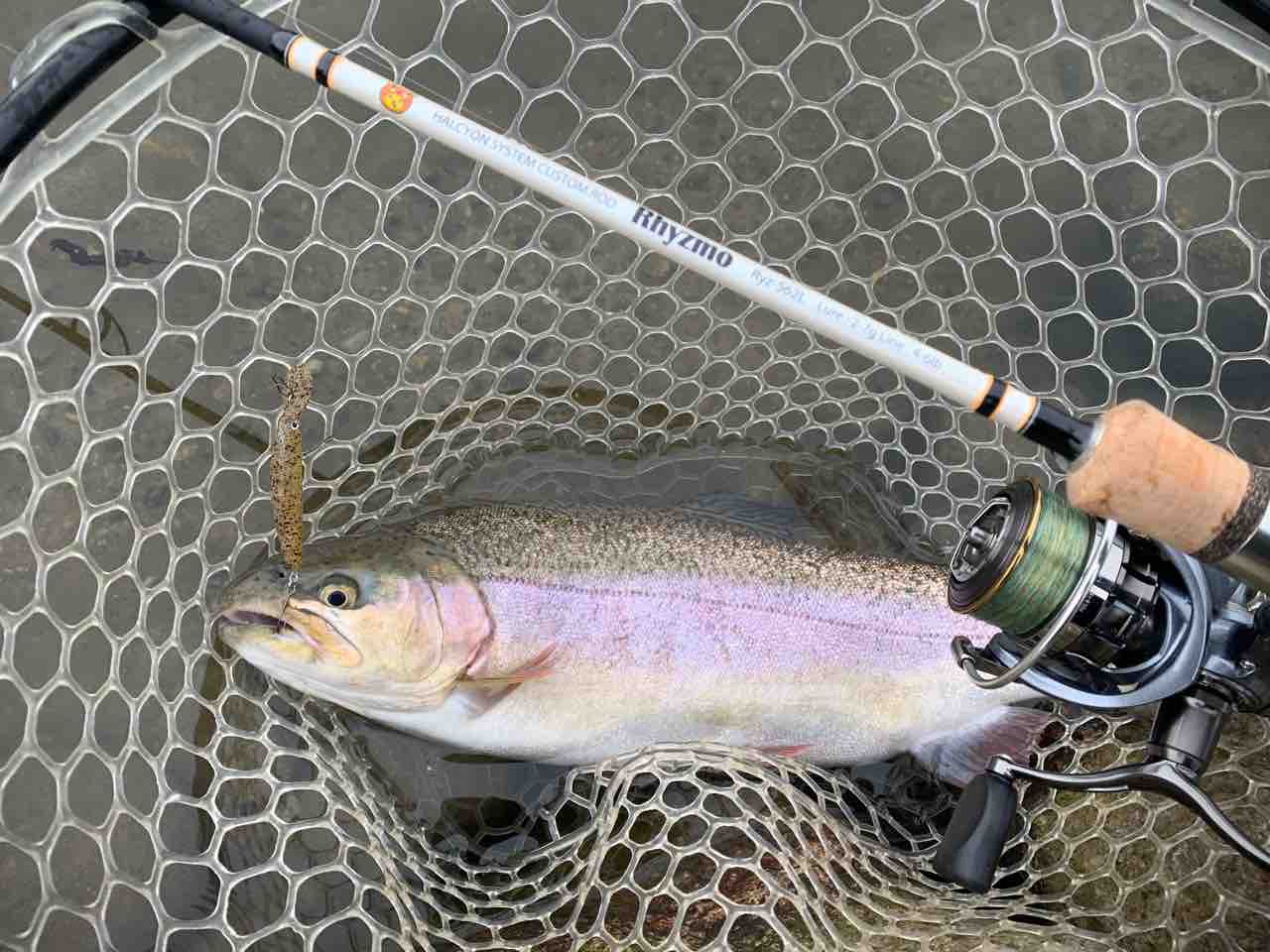 エリアミノーイング Kecha Reliefのblog