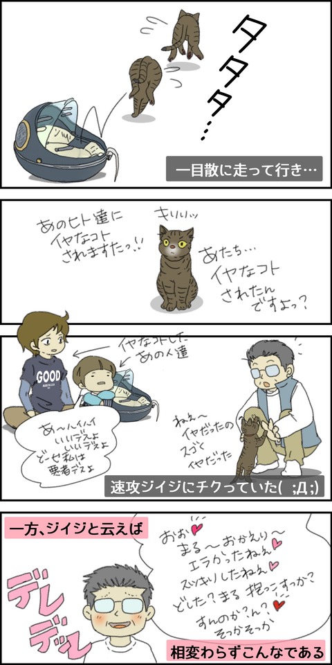 o1500300015711119590