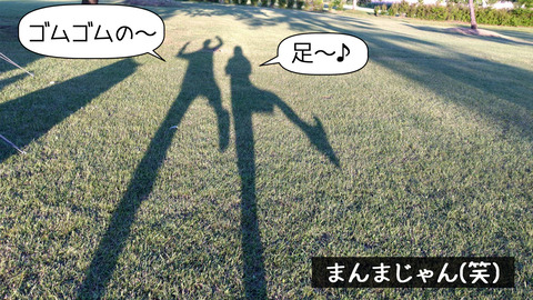 o1706096015126904652