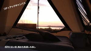 o1706096015183212596