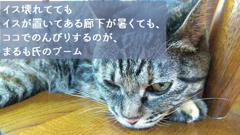 o1706095915159051460