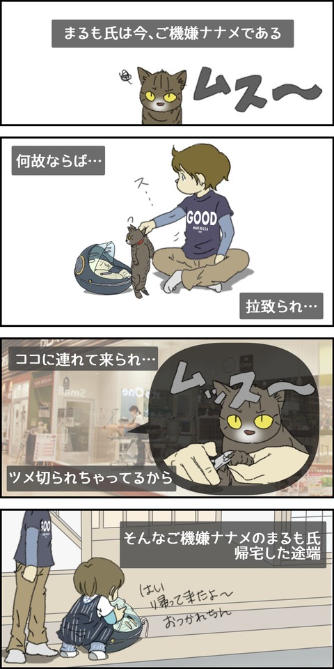 o1500300015711119593