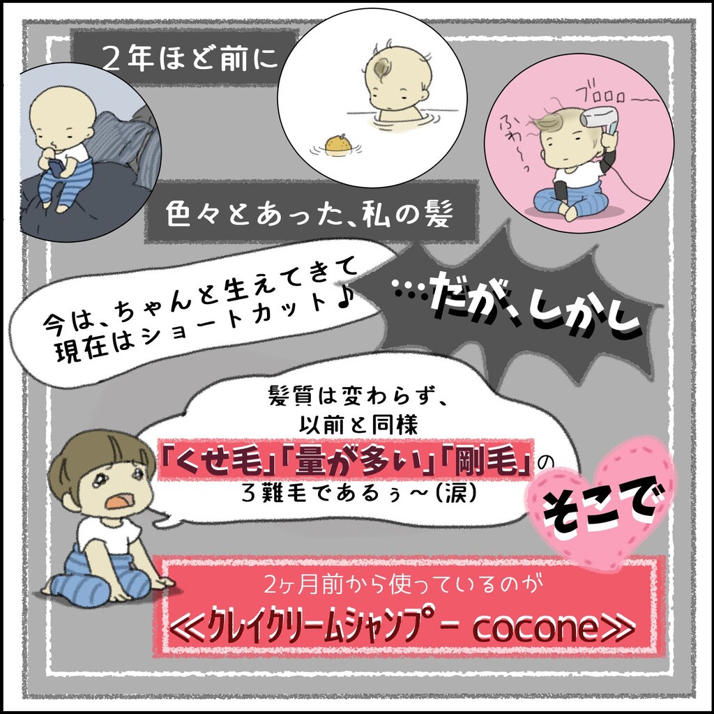 くせ毛 量が多い 剛毛の ３難毛 Pr 実際は小脇に抱えられません Powered By ライブドアブログ