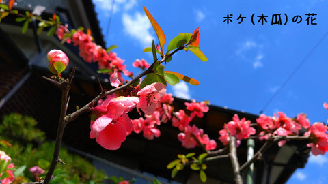 o1706096015108962289