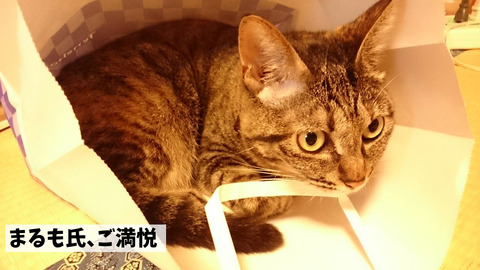 紙袋②