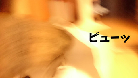 紙袋⑤