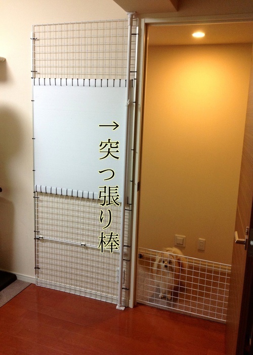 バカきょうだいの記録