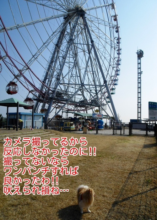 $バカきょうだいの記録
