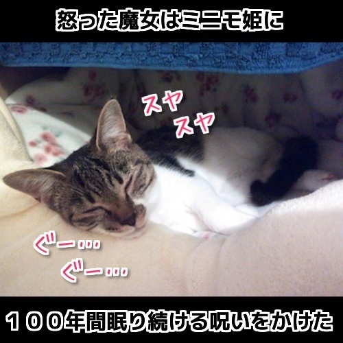 $バカきょうだいの記録