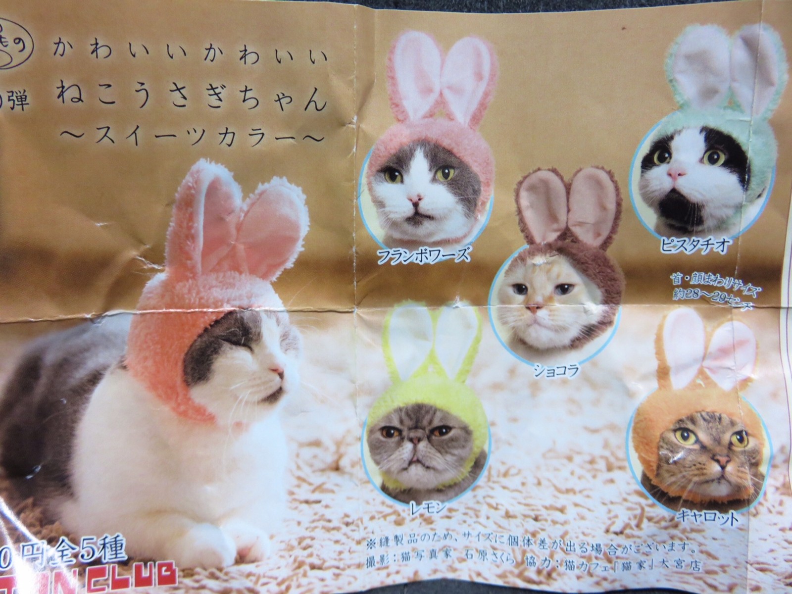 ガチャガチャ奇譚クラブ 犬と猫の新作かぶりもの 毛玉きょうだい Powered By ライブドアブログ