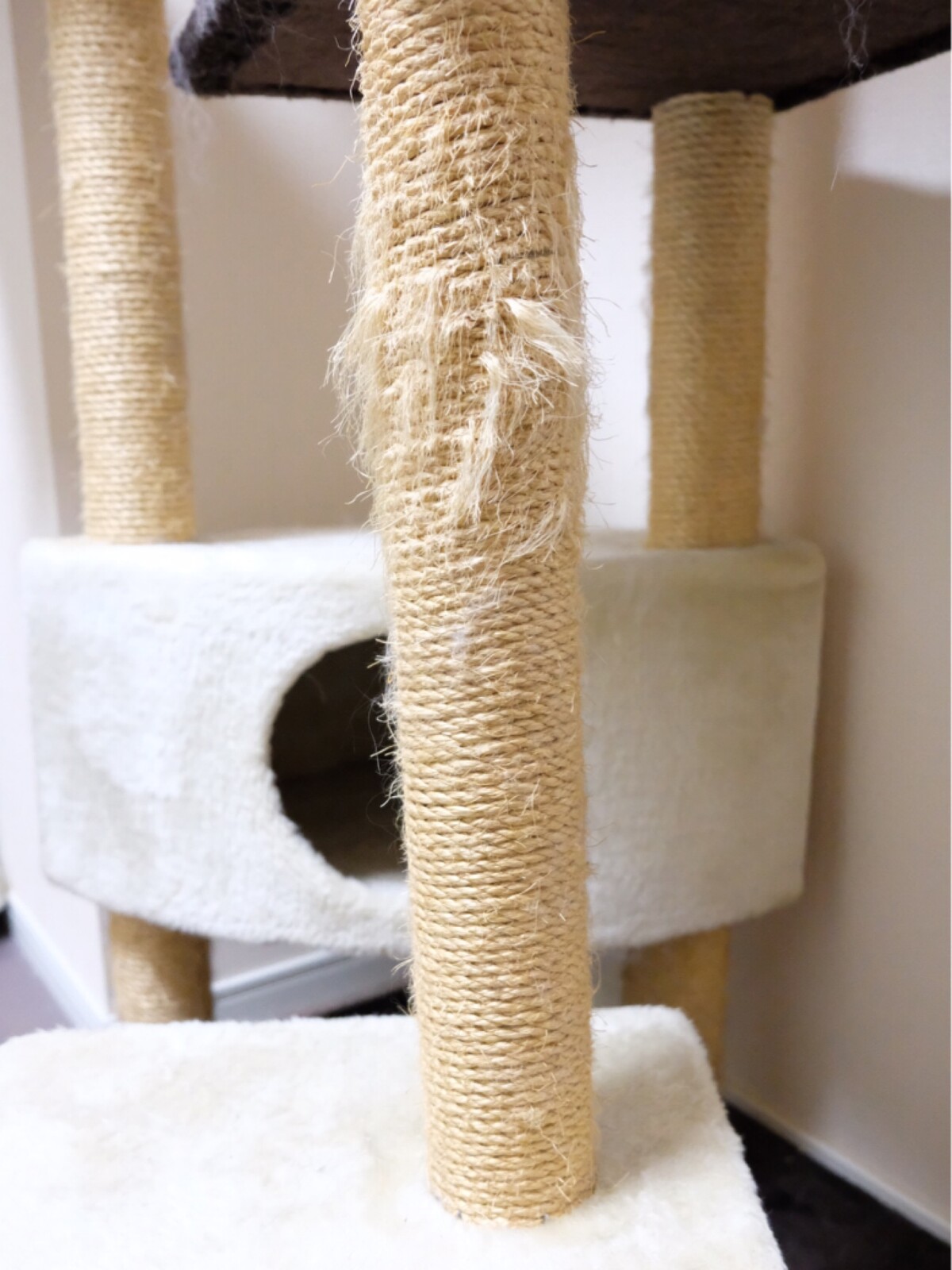 別れを惜しむ猫の行動 毛玉きょうだい Powered By ライブドアブログ