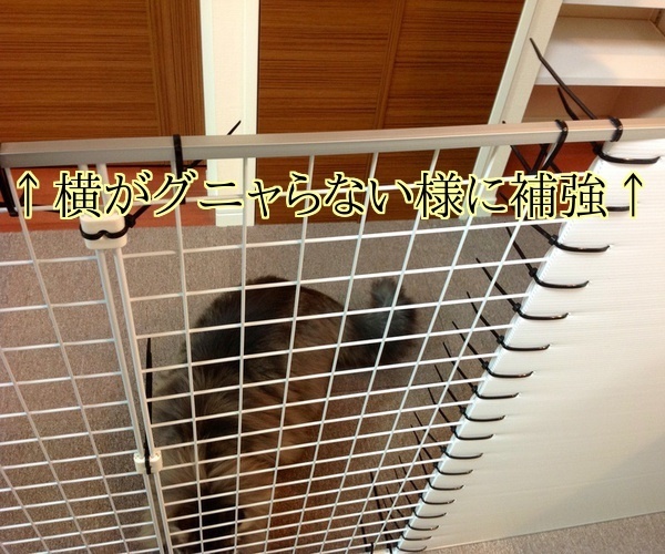 バカきょうだいの記録