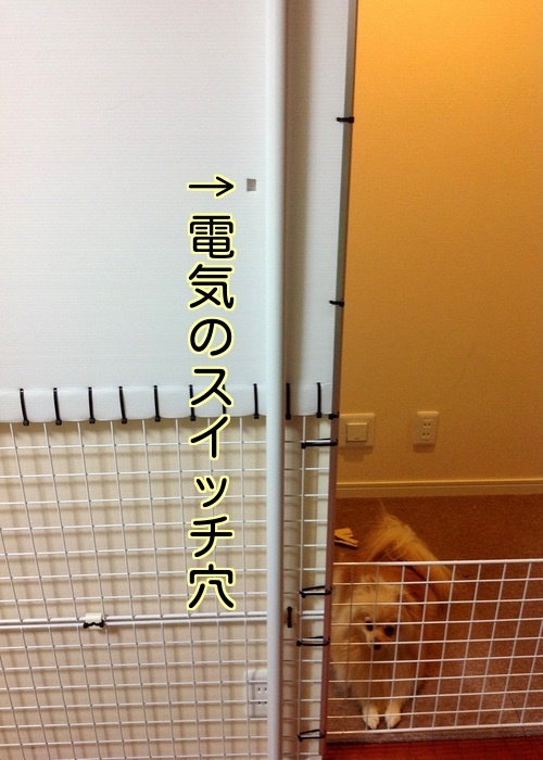 バカきょうだいの記録