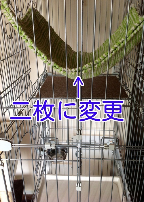 バカきょうだいの記録