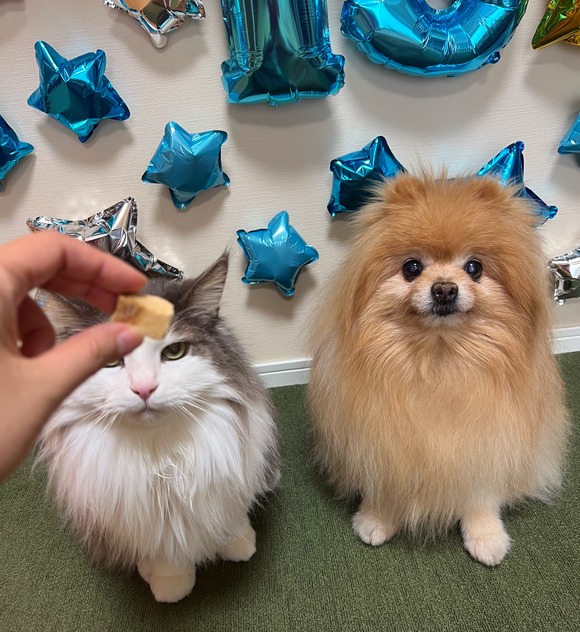 IMG_3698