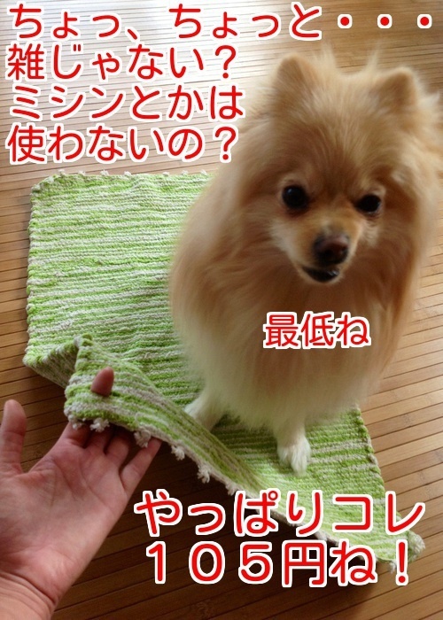 バカきょうだいの記録
