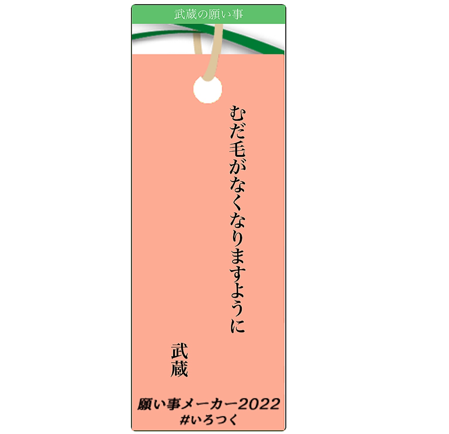 七夕 うそこメーカー22で短冊を作ってみた 毛玉きょうだい Powered By ライブドアブログ