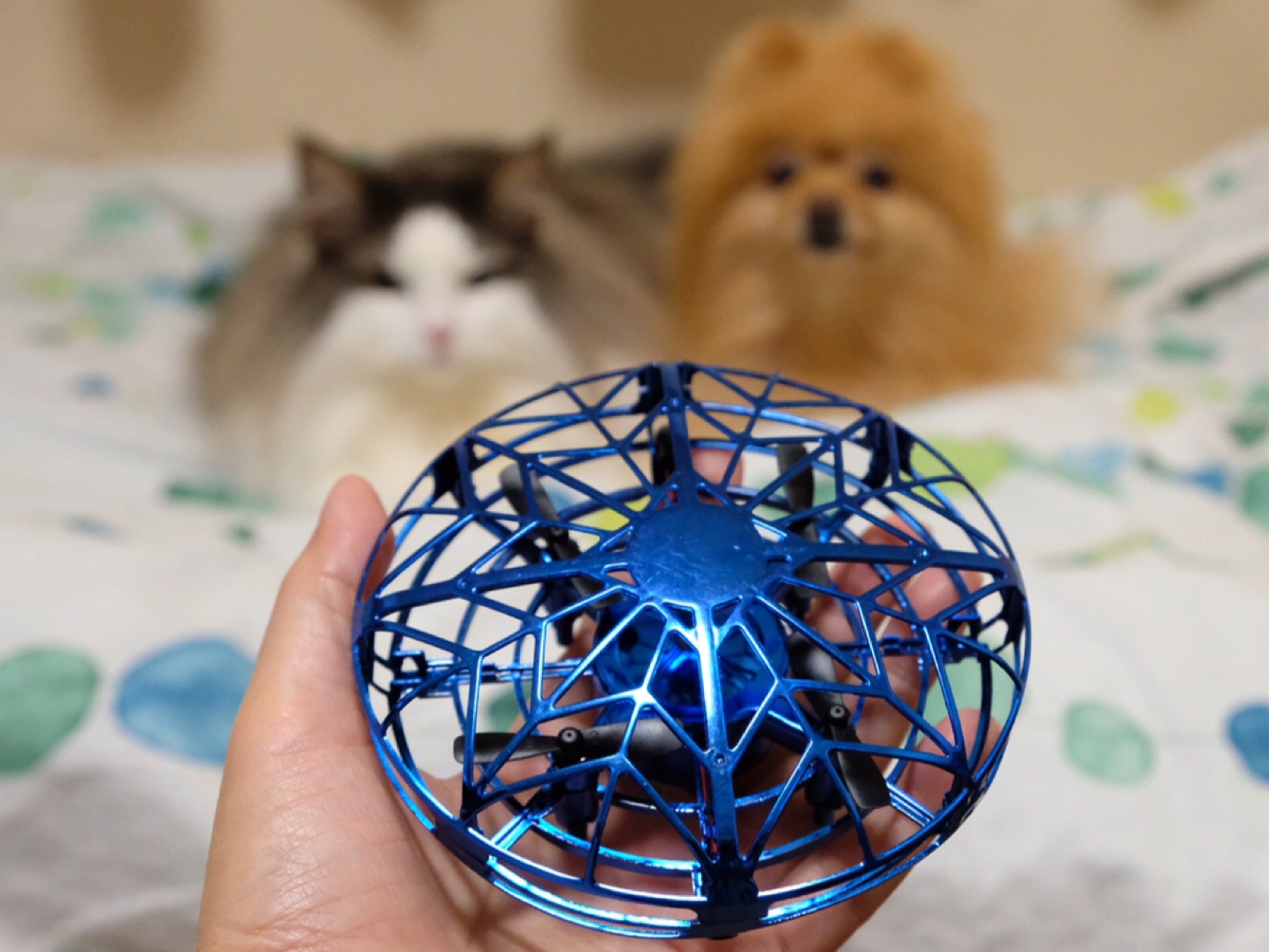 空飛ぶドローンオモチャを犬と猫に見せてみた 毛玉きょうだい Powered By ライブドアブログ