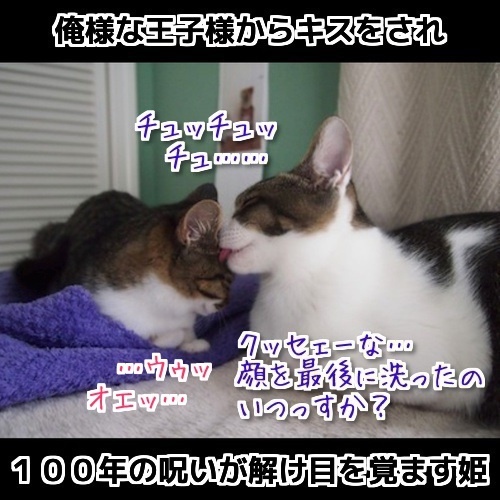 $バカきょうだいの記録