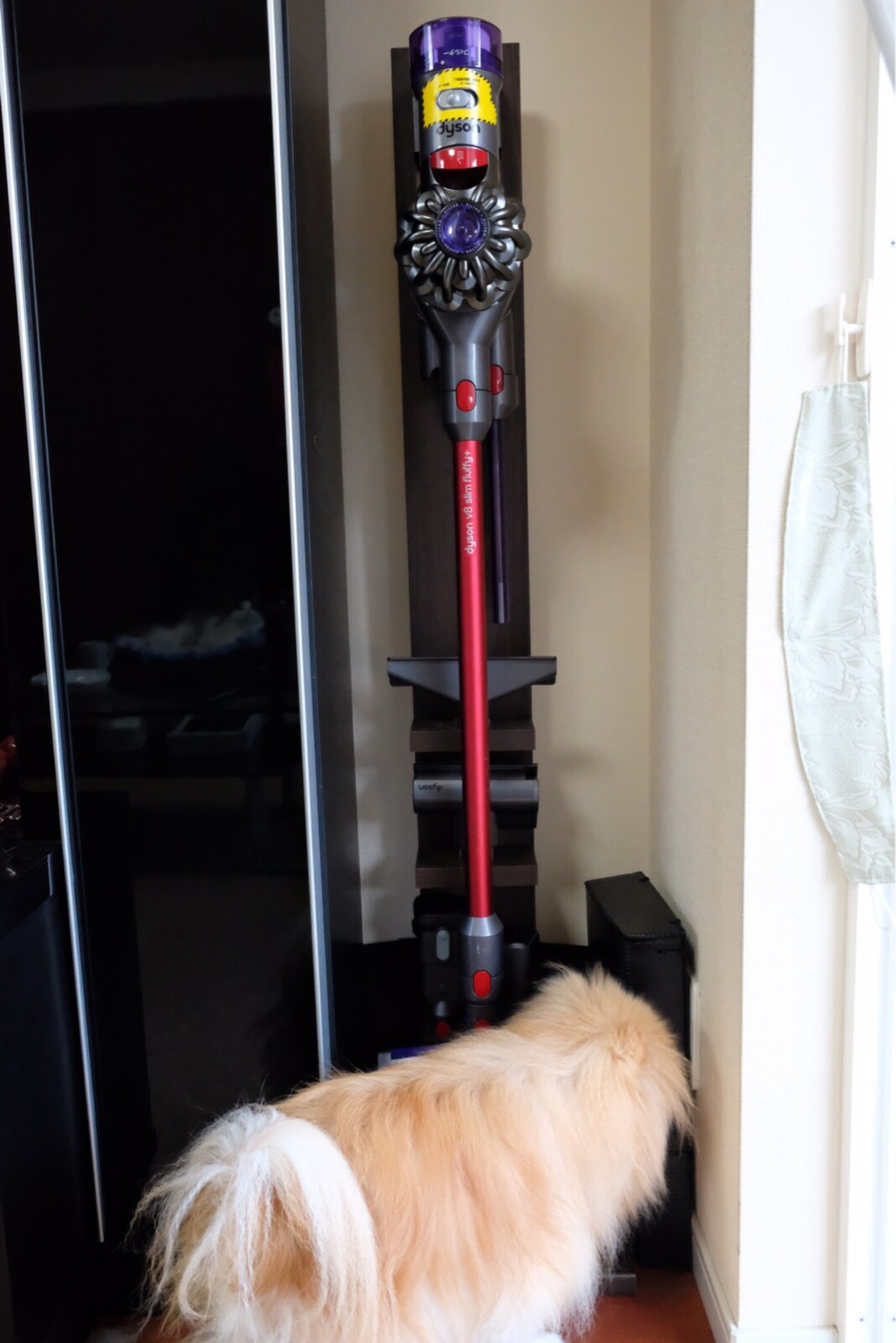 ダイソン掃除機を猫の魔の手から守る 毛玉きょうだい Powered By ライブドアブログ