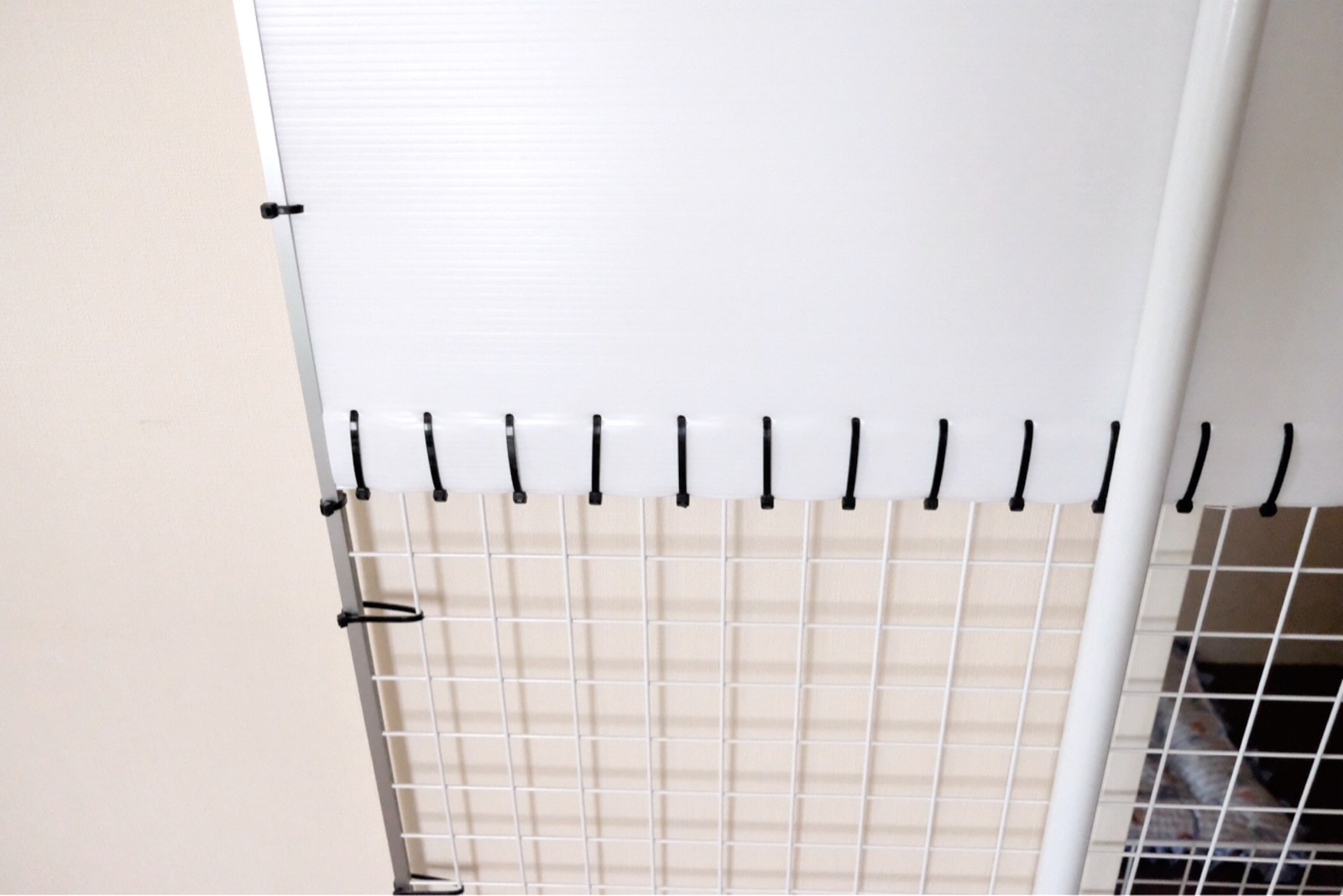 手作りの猫脱走防止扉とポメラニアンとノルウェージャン 毛玉きょうだい Powered By ライブドアブログ