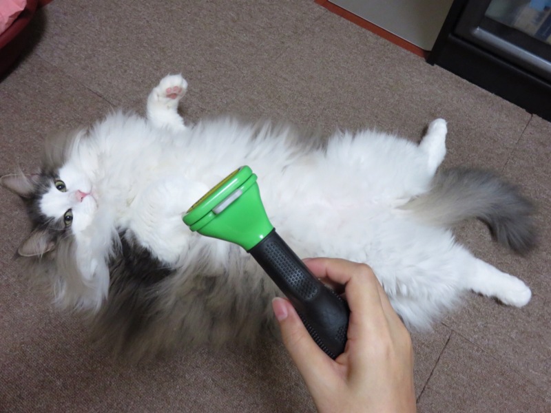 ファーミネーター 毛玉きょうだい Powered By ライブドアブログ