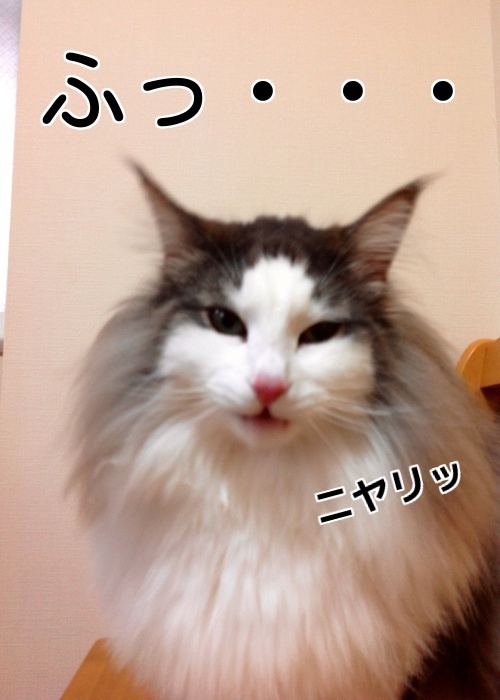 $バカきょうだいの記録