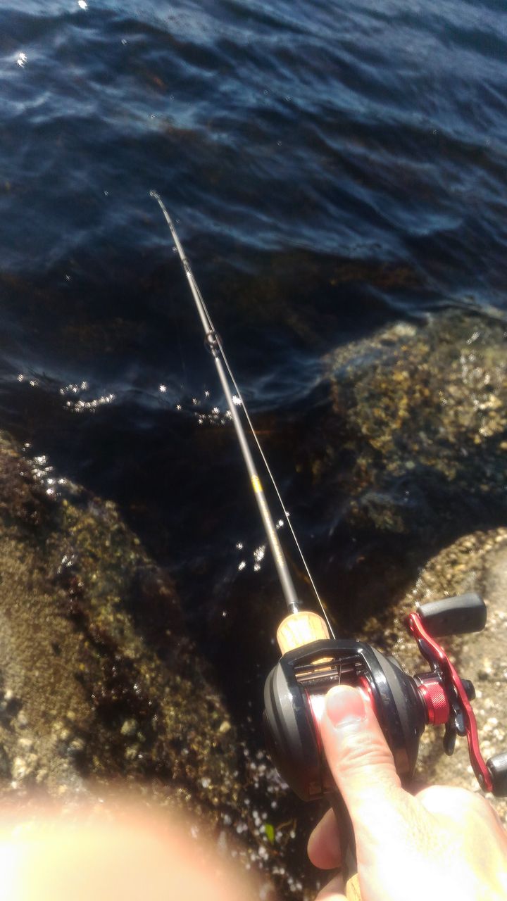 4月15日 懲りずに穴釣り みなとみらいシーバスひたすら釣行記 4月15日 懲りずに穴釣り みなとみらいシーバスひたすら釣行記