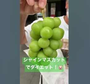 jhghhhghggh無題