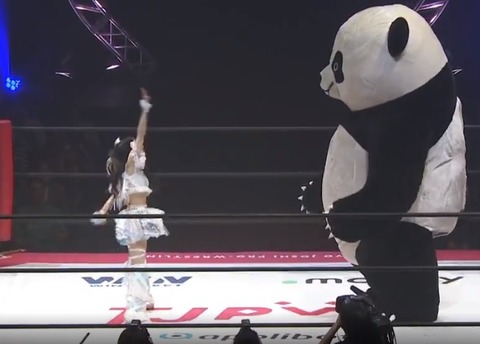 【動画】プロレス史上かつてないマッチアップが組まれてしまうｗｗｗｗｗｗのサムネイル