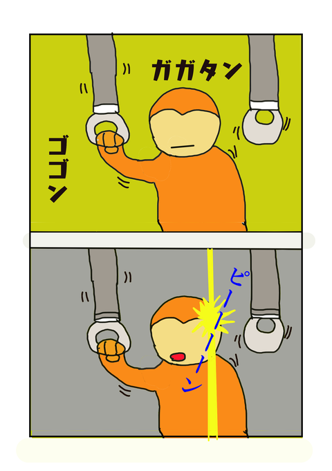 45588564