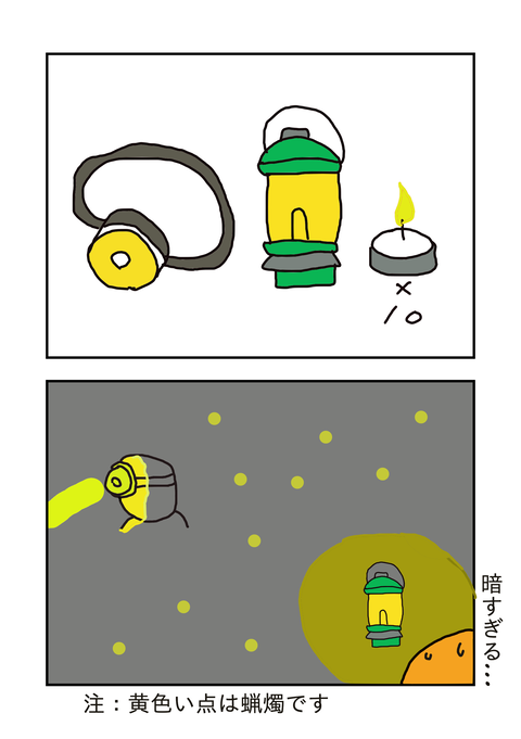 45446265
