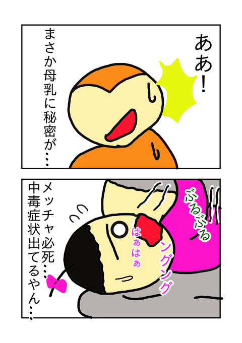48033719