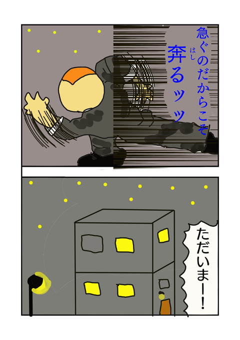45590154
