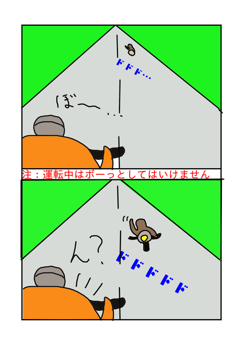 45781911