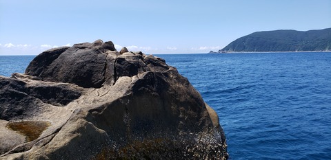 20190803_111455