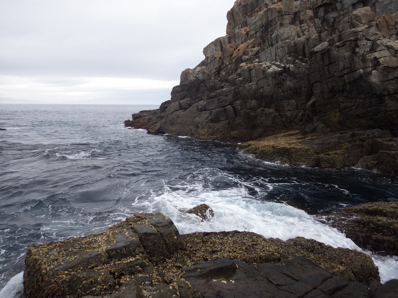 雨の沖磯グルーパーゲーム 単独釣行画像撮り ハイドアウトハンター Waterside Meeting On The Wonderful Nature