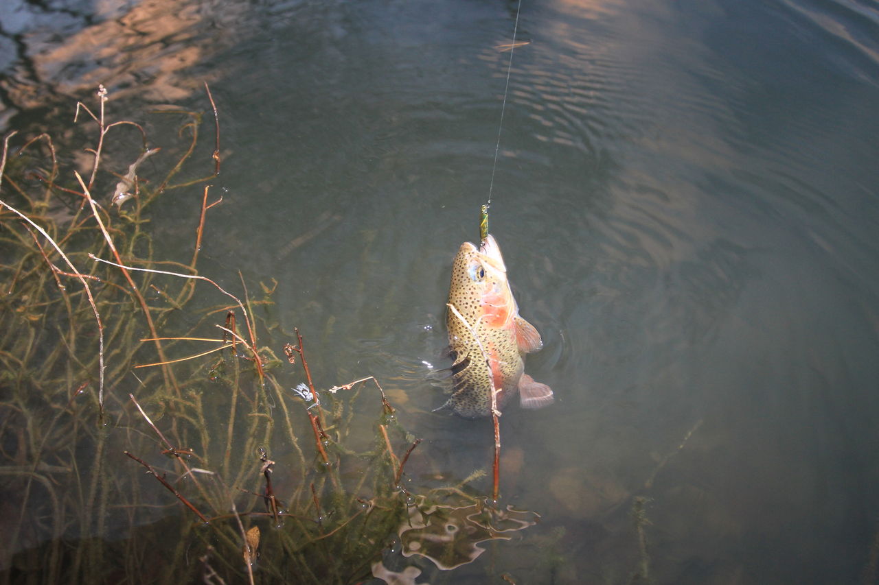 スプーンで食わない時のダートプラグパターンとタックルチョイス In フィッシャーリゾート庄原 Waterside Meeting On The Wonderful Nature
