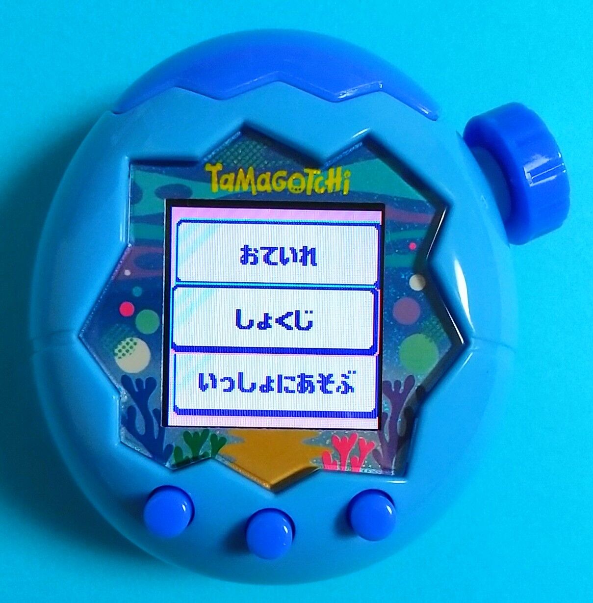 たまごっち他色々 Tamagotchi Paradise新登場！ | NEWS | たまごっち公式サイト
