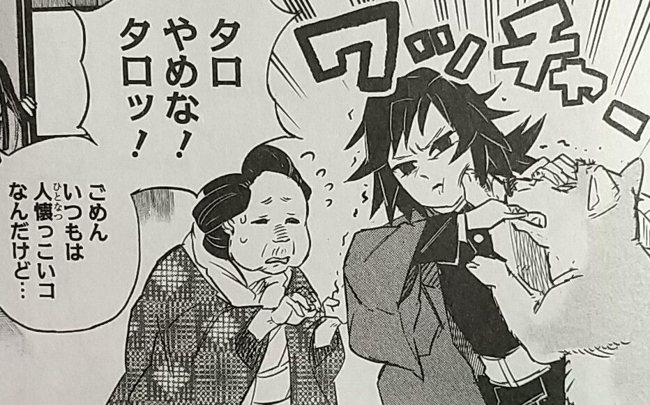 描き下ろし満載の最終巻 鬼滅の刃 23巻 幾星霜を煌めく命 通常版 鬼滅の刃 外伝 Chaos Hobby Blog