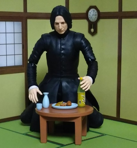 ハリー・ポッター】S.H.Figuarts セブルス・スネイプ : Chaos