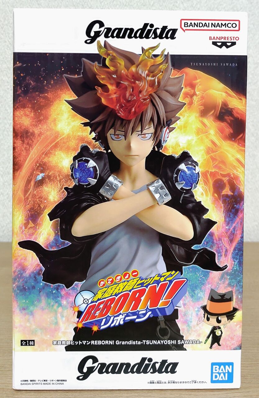 ヴァイスシュヴァルツブラウ REBORN 沢田綱吉 ツナ 11枚 新作登場