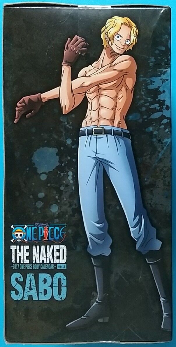上半身裸のサボのフィギュア The Naked 17 One Piece Body Calendar Vol 3 B Chaos Hobby Blog