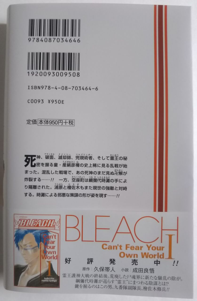 スケールの大きい戦いに 小説で初登場する卍解や帰刃も Bleach Can T Fear Your Own World Chaos Hobby Blog