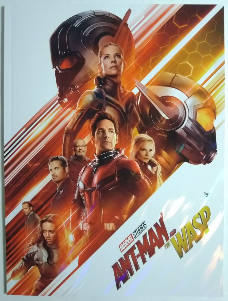 アベンジャーズ映画シリーズ20作目！ 8/31 アントマン＆ワスプ