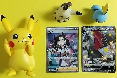ポケモン関連 Chaos Hobby Blog