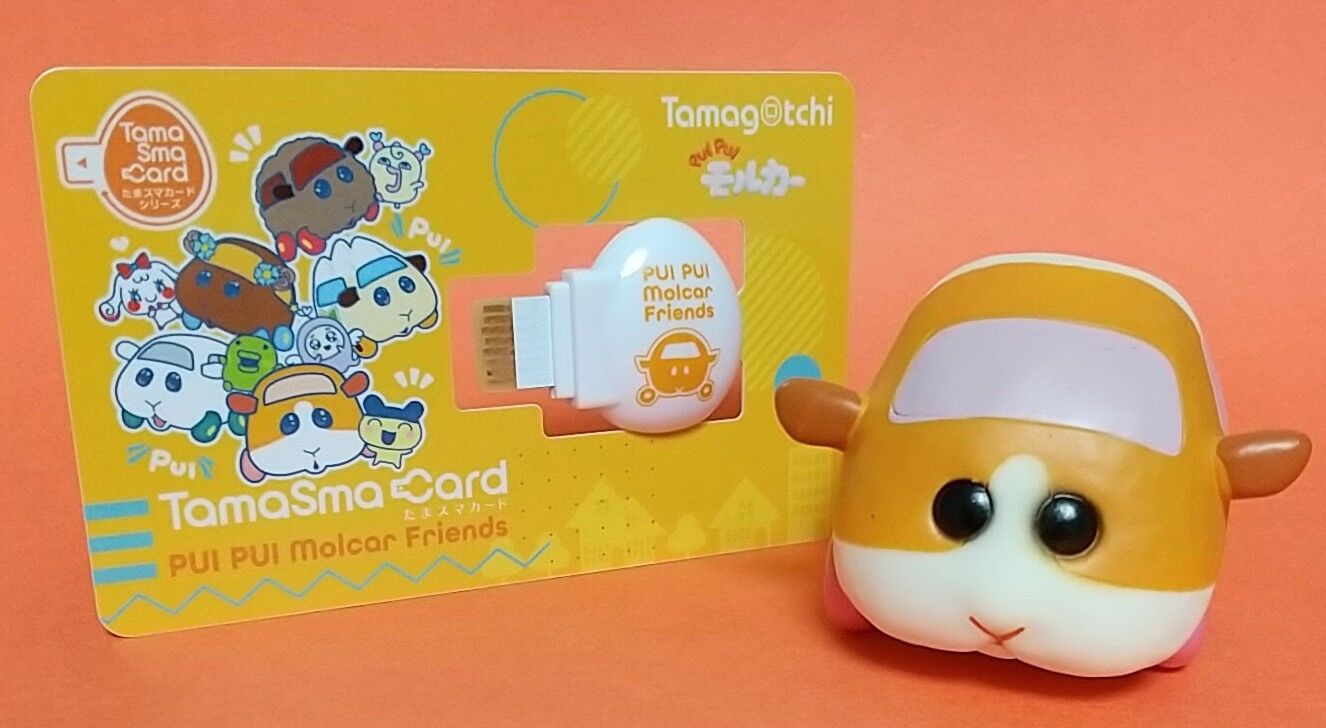 ゾンビリビングなども追加】たまスマカード PUI PUI モルカーフレンズ