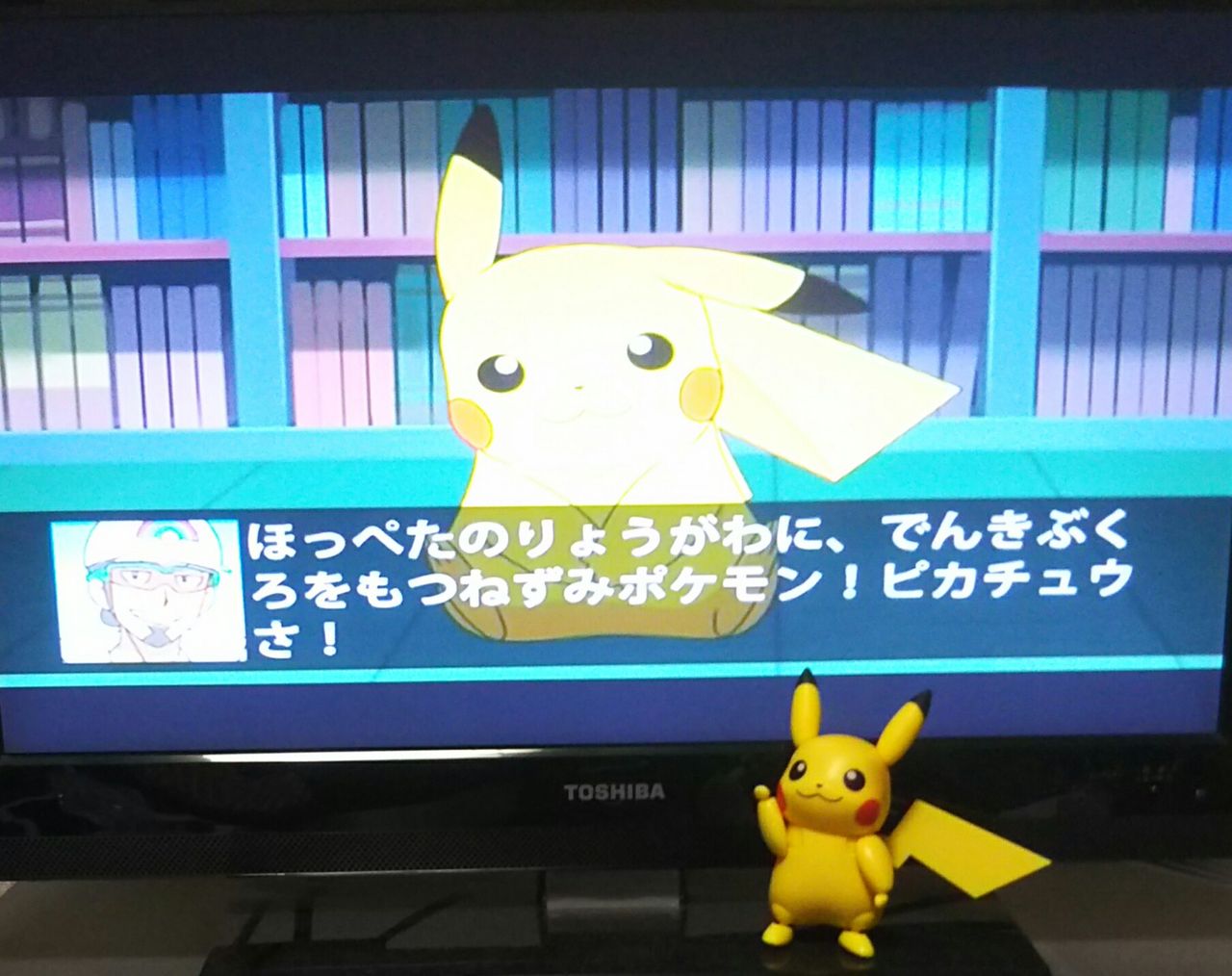 ポケモン Tvで発動zワザ Zクリスタル サトピカz キャンペーン Chaos Hobby Blog