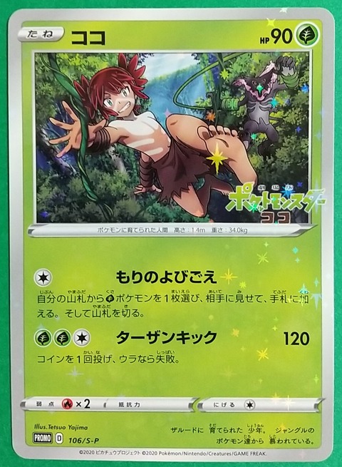 ポケモン関連 Chaos Hobby Blog ポケモン関連 Chaos Hobby Blog