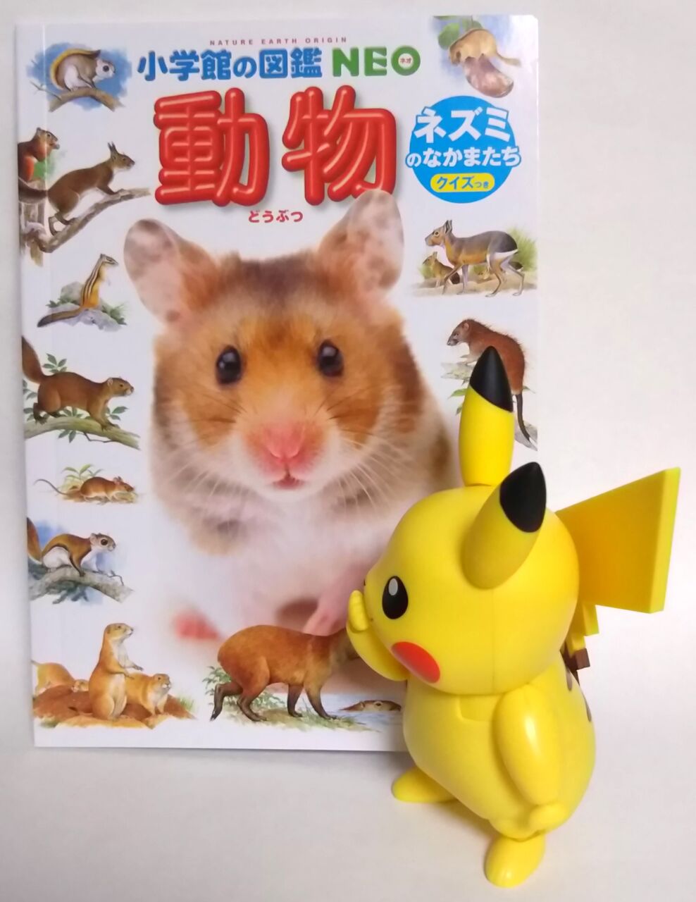 マクドナルド ハッピーセット ずかん 動物 ネズミのなかまたち Chaos Hobby Blog マクドナルド ハッピーセット ずかん 動物 ネズミのなかまたち Chaos Hobby Blog